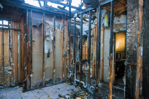 Professional Fire Damage Removal technician working in Cleveland, TX